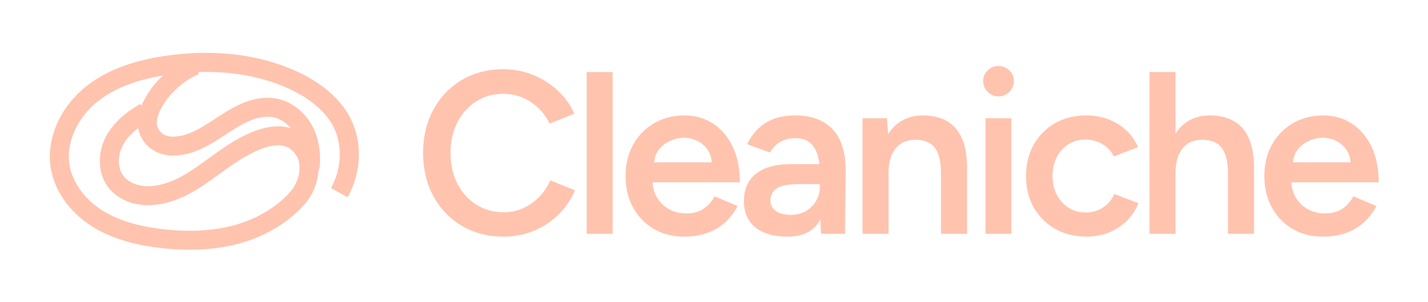 Cleaniche Logo
